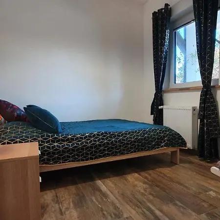 Kamien Baltyku Debina (Ustka)