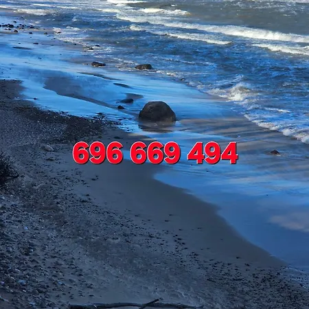 Kamien Baltyku Konukevi Debina (Ustka)
