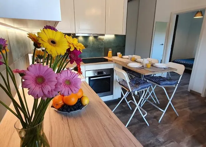 Kamien Baltyku Pensionat Debina (Ustka)